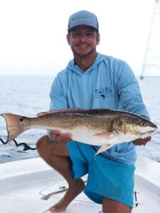 Bay Breeze Fish