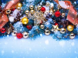 Christmas Trees Decorated In Red 1140x1140 Vb7uphw3g