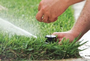 Growing Joah Wickham Ufifas Sprinkler2