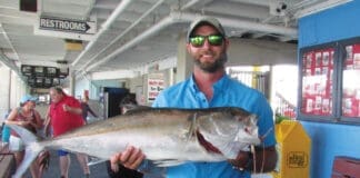 Amberjack