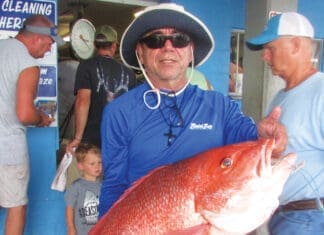 Andersons Huge Snapper 2