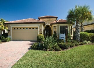 St Augustine Grass Lawn Photo Tyler Jones Ufifas