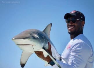 Shark At Ya