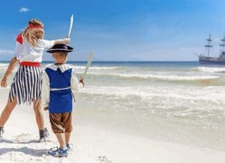 Pirates Of The High Seas