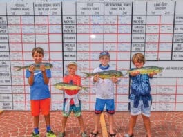 Andersons Marina Tarpon Dock