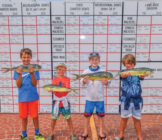 Andersons Marina Tarpon Dock