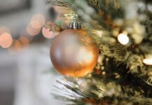 New PCB Venue: The Corner at Patriot’s Point has Christmas Trees Christmas Bulb on Tree
