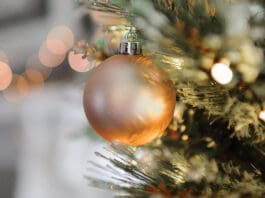 Christmas Bulb on Tree