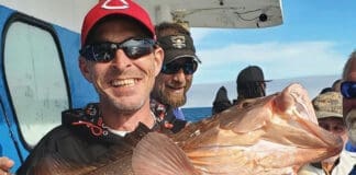 Capt Andersons 34 Inch Red Grouper