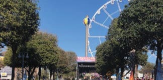 Mardi Gras Img 6061