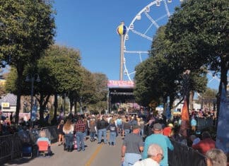 Mardi Gras Img 6061