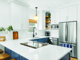 80 Blue Dolphin Loop 20230130 024 (1)