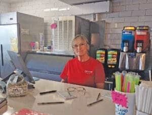 Fun Land Ginny Mcdavid