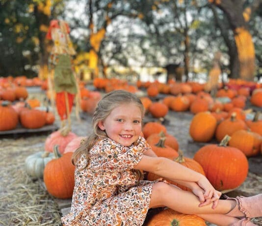 Camp Helen Pumkins
