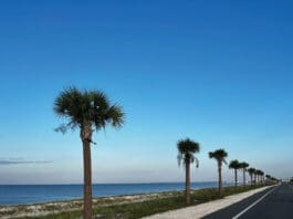 Mexico Beach 7