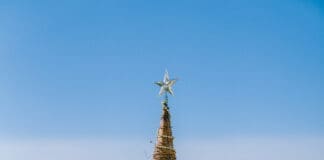 Beach Home for the Holidays Tree