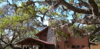 Camp Helen State Park Lodge