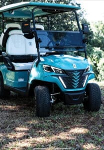 Cruzin 30a Teal Cart