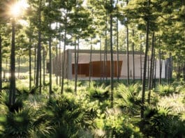 Longleaf Art Park East Option 2