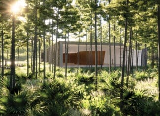 Longleaf Art Park East Option 2