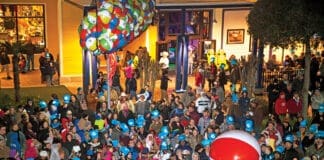 Pcb New Year 1
