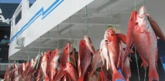 Img 20250322 164653