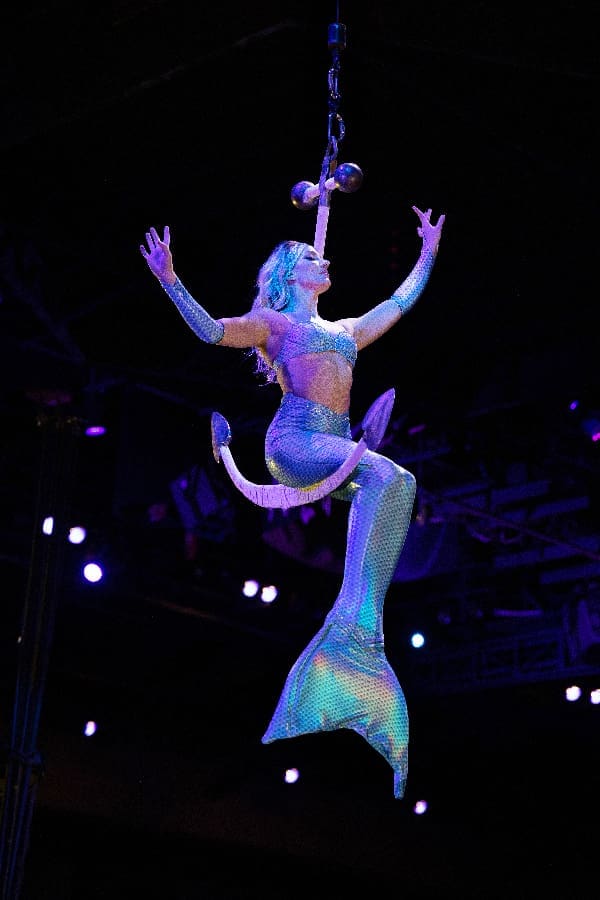 Pirates Voyage Mermaid