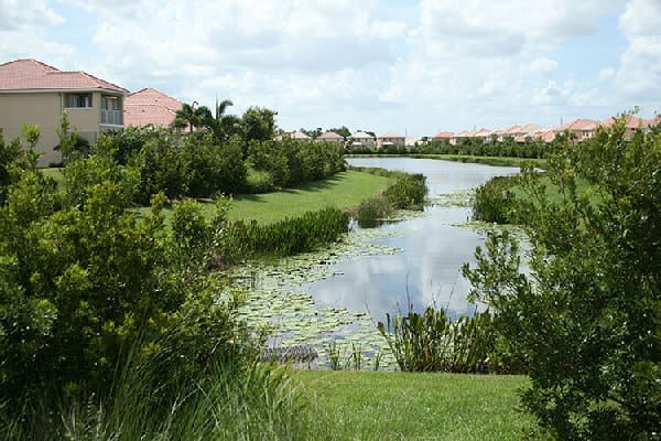 Waterfront