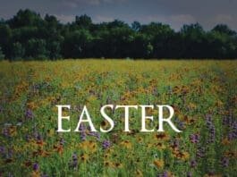 Sean Dietrich Easter Image