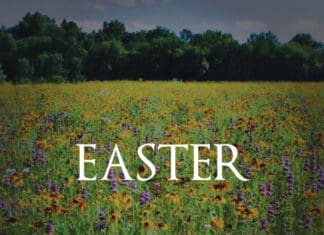 Sean Dietrich Easter Image