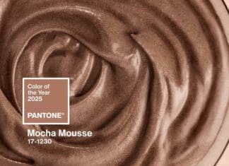 Pantone Mocha Mousse
