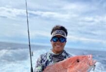Snapper July