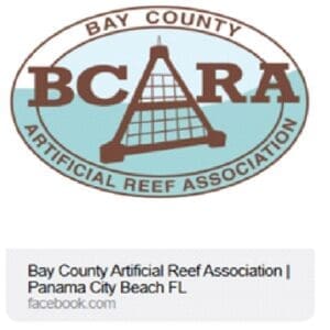 Bcara