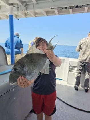 Capt Andersons Triggerfish