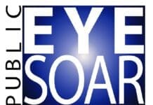 Publiceyesoar Logo