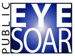 Publiceyesoar Logo