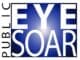Publiceyesoar Logo