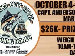 Capt Andersons Marina Rodeo 25