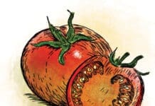 Sean Dietrich Tomatoes