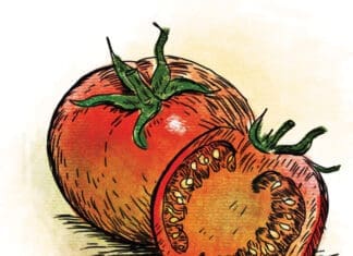 Sean Dietrich Tomatoes
