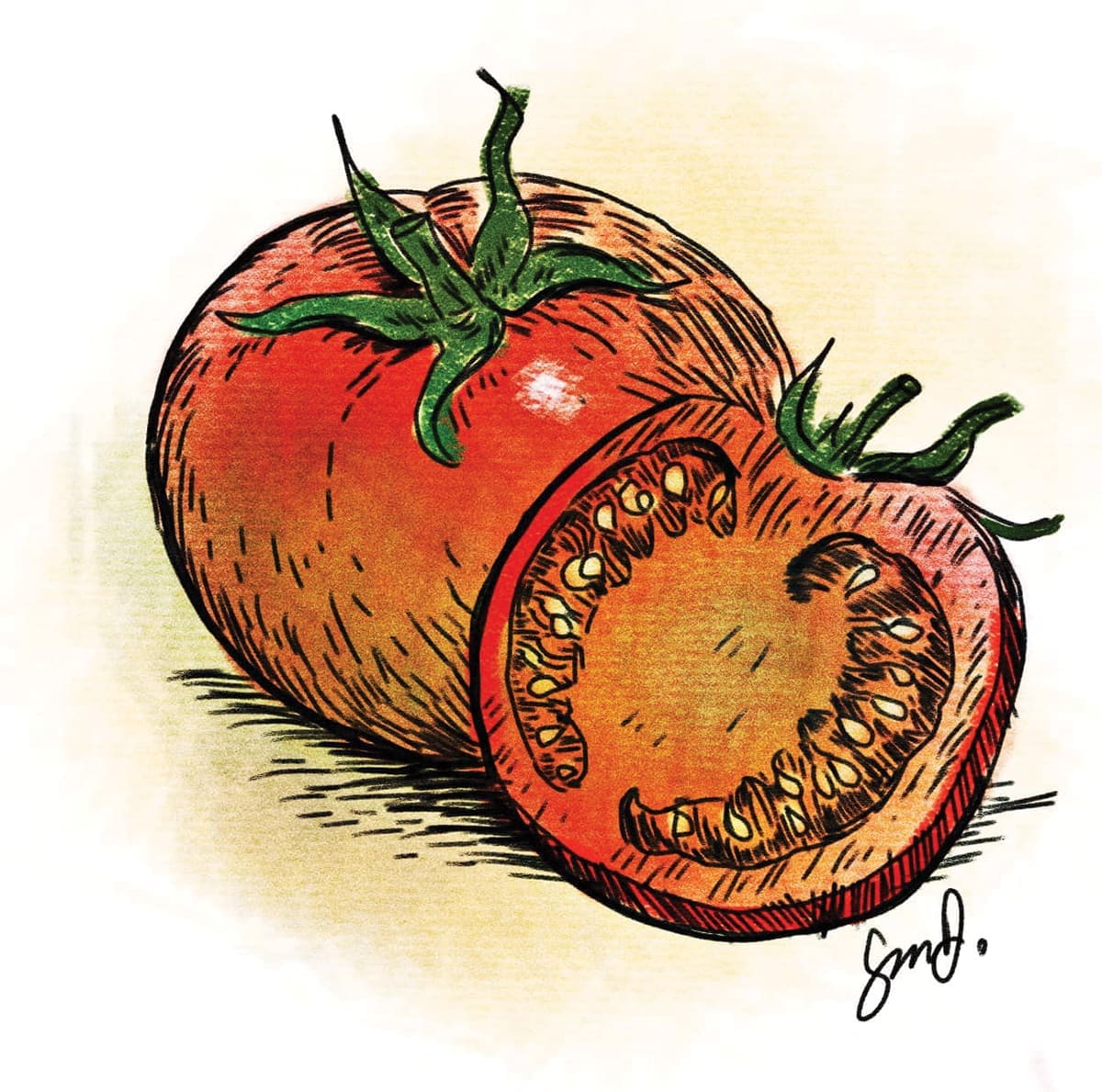 Sean Dietrich Tomatoes