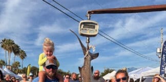 Andersons Marina Rodeo