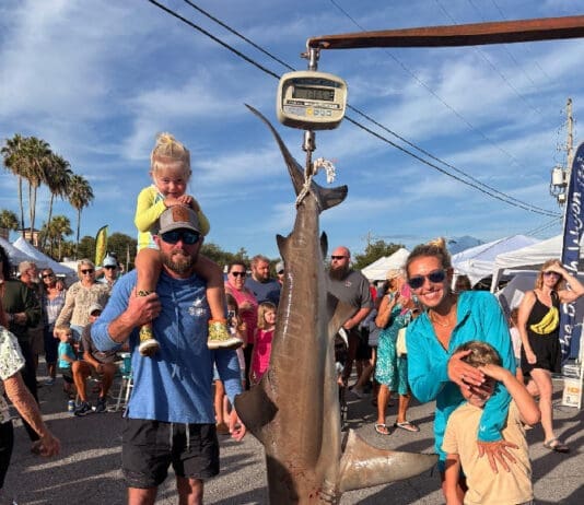 Andersons Marina Rodeo