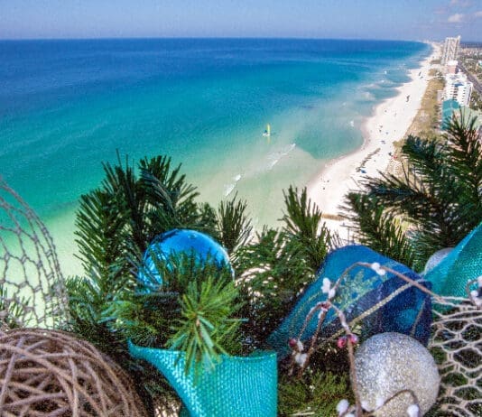 Beach Home For The Holidays 2016 25