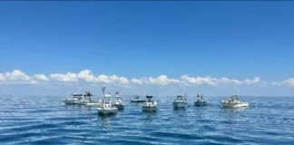 Emerald Coast United Boats