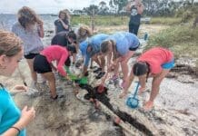 From Textbooks to Tide Pools: Surfside Students Dive into Science at Bay Day Surfside School 151846195