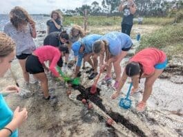 Surfside School 151846195