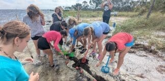 Surfside School 151846195