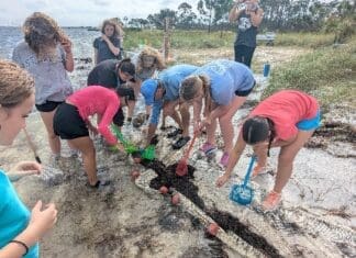 Surfside School 151846195