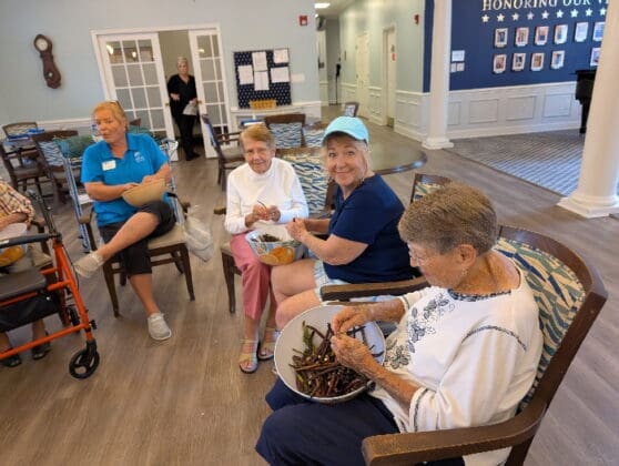 Womens Civic Club Pcb 2